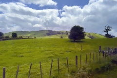 NZ Countryside