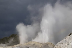 Rotorua Hot Springs