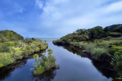 Ship Creek at Tasman Sea